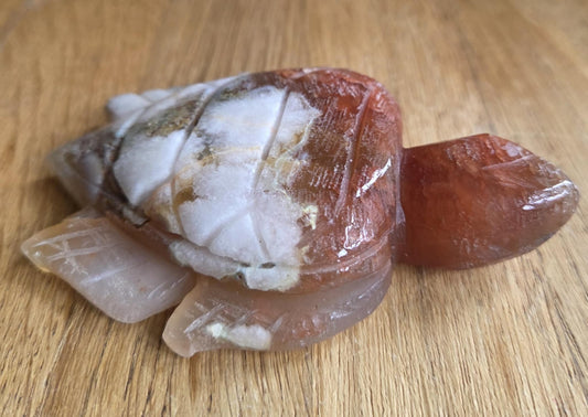 Flower agate turtle