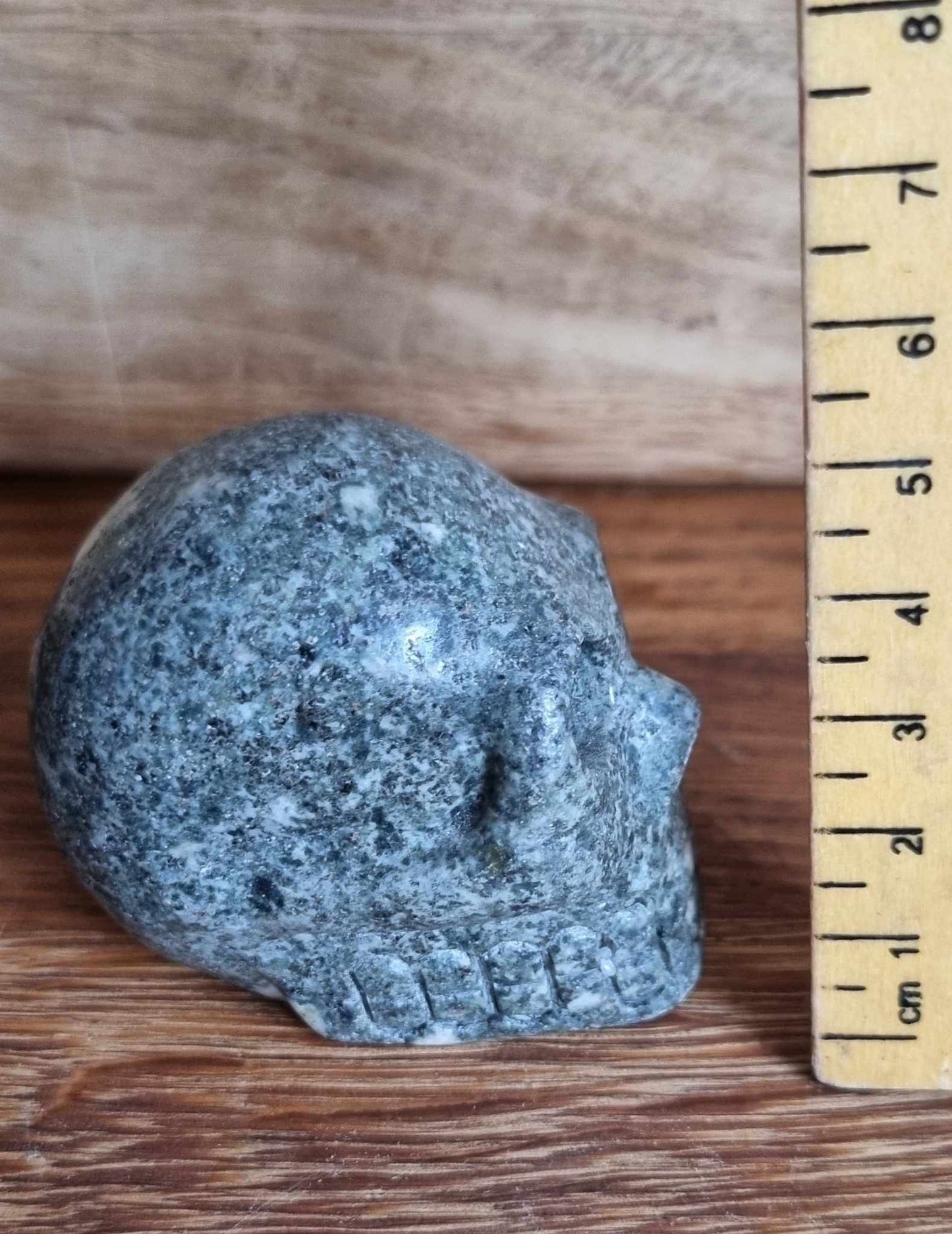 Preseli bluestone skull