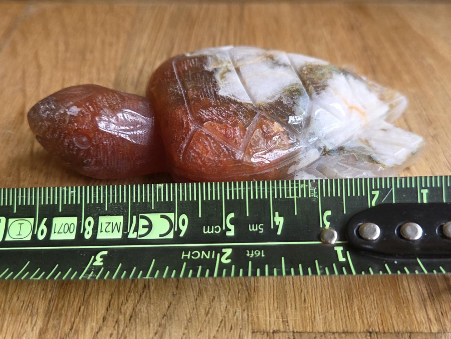 Flower agate turtle