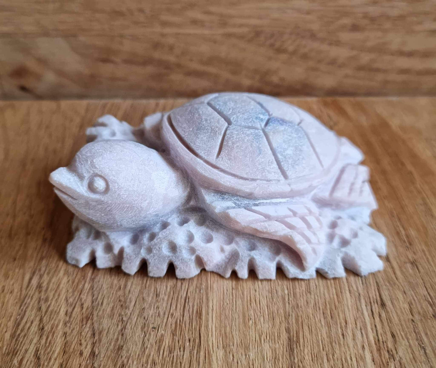 Pink opal turtle