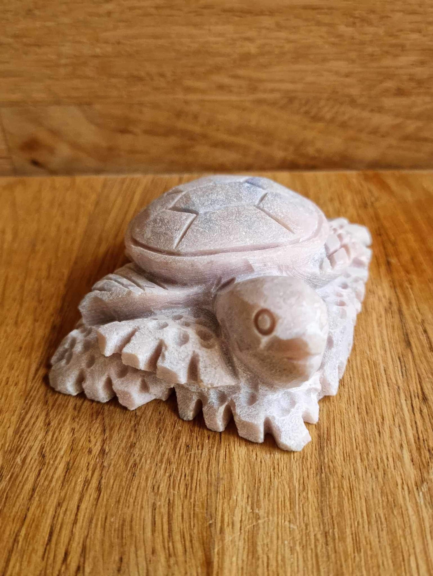 Pink opal turtle