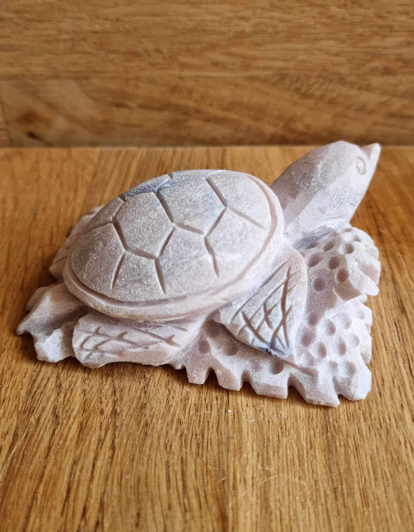 Pink opal turtle