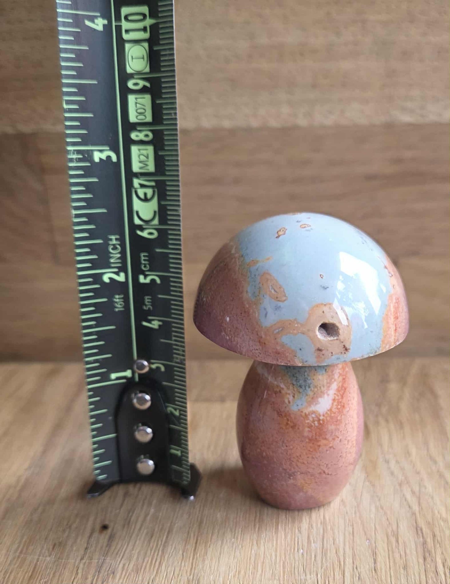 Polychrome jasper mushroom