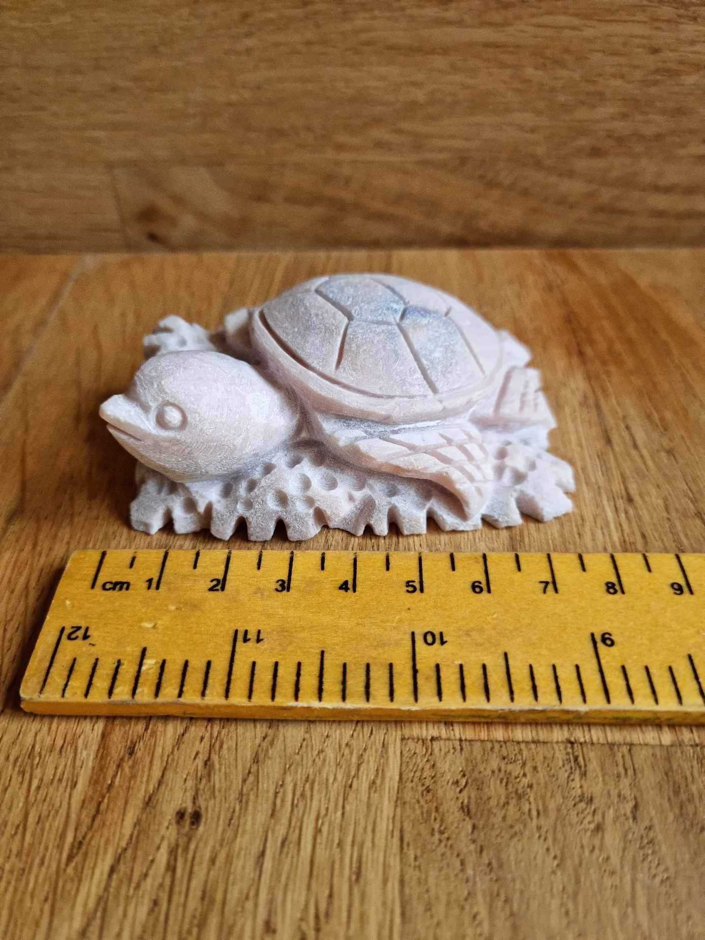 Pink opal turtle