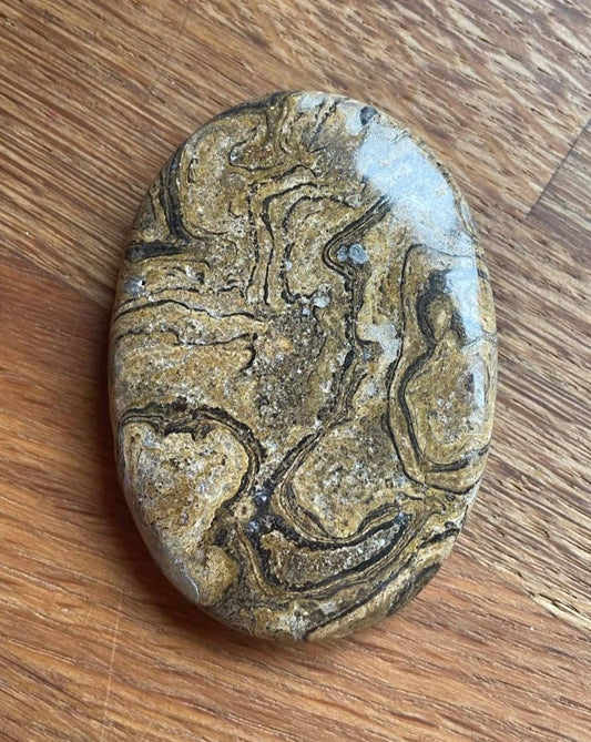 Stromatolite palm stone - was £16, now £12