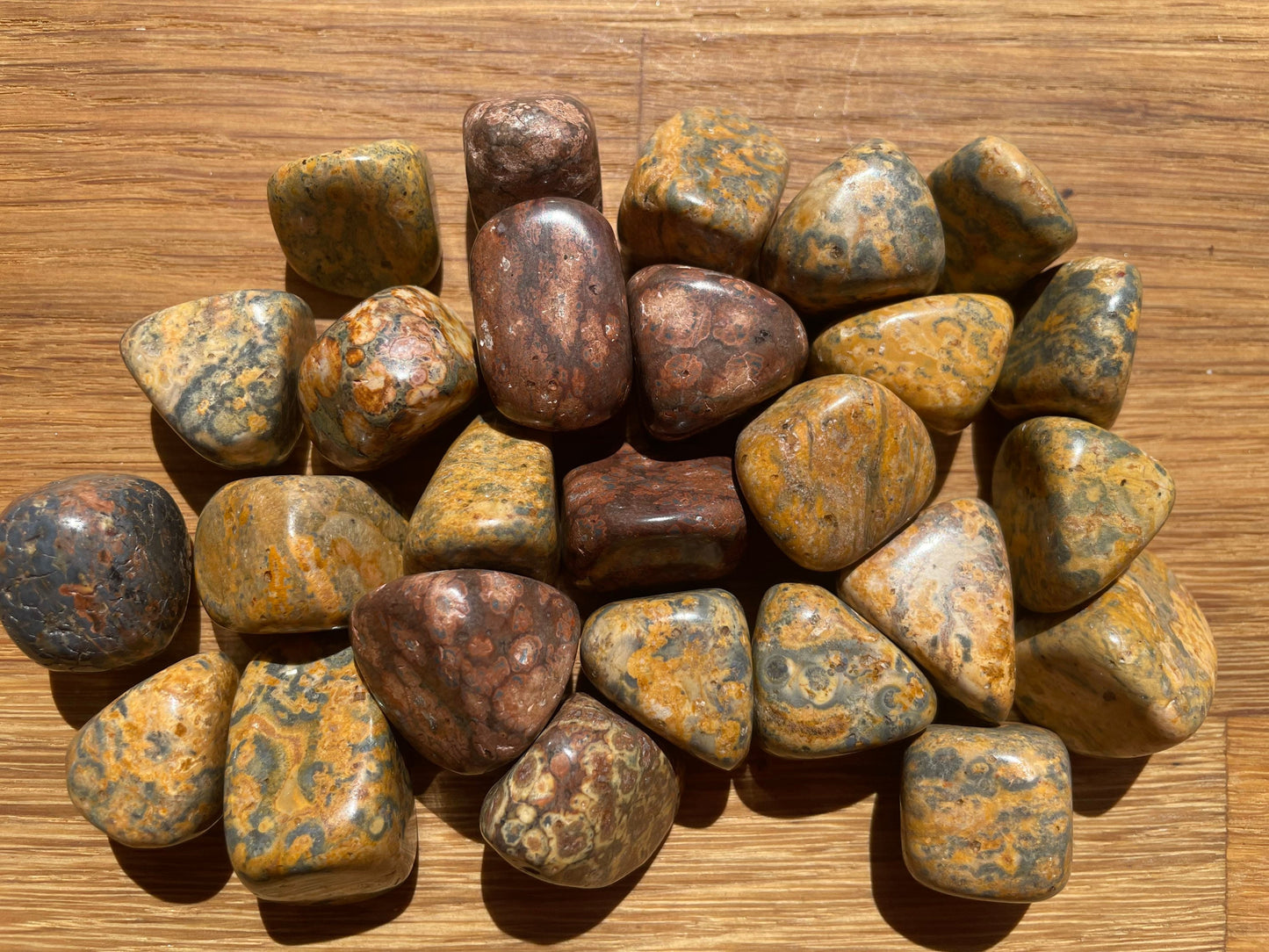 Leopard skin jasper tumble stone