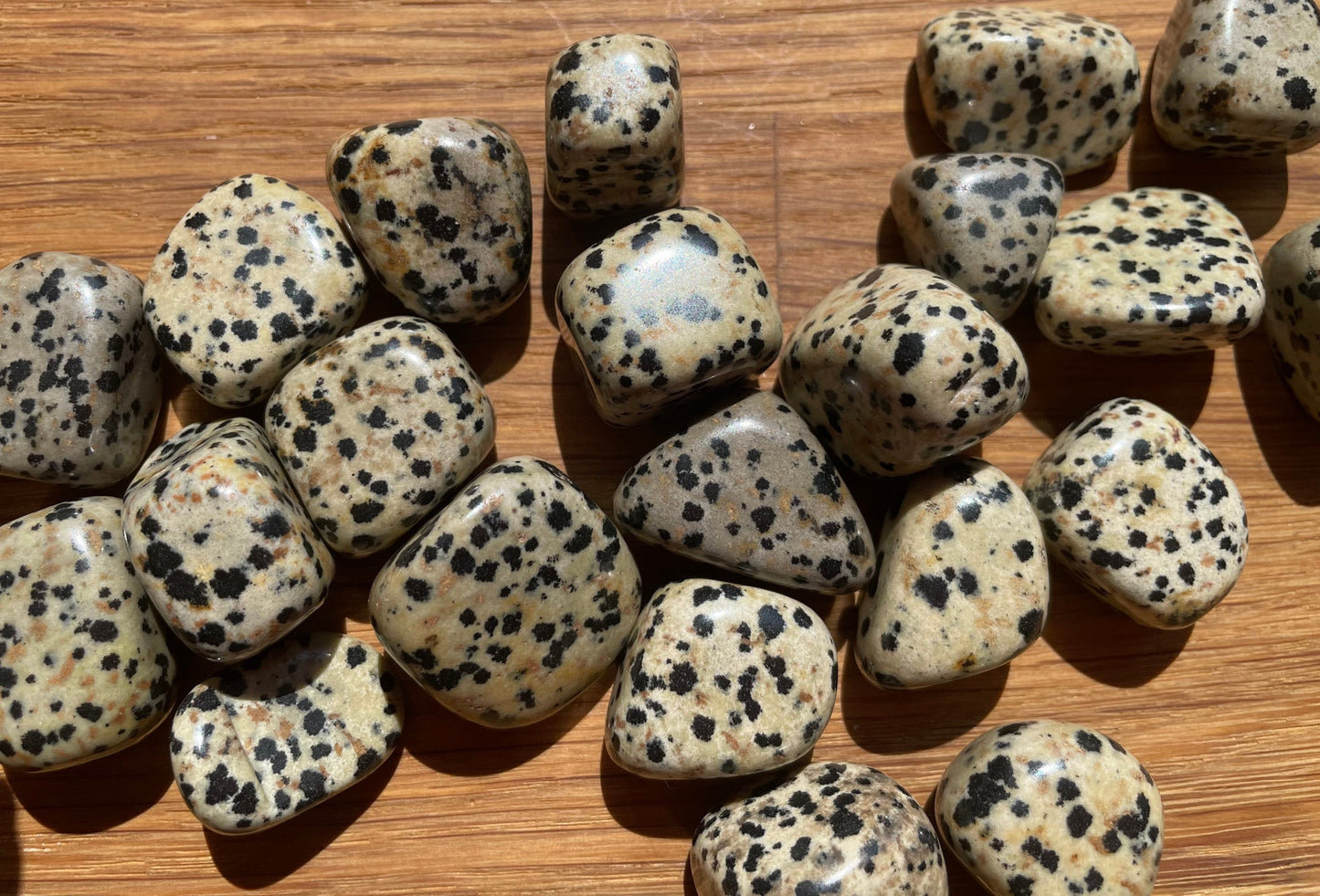 Dalmatian jasper tumble stone