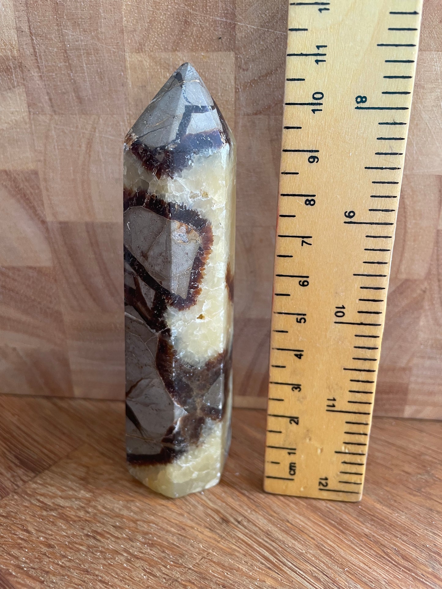 Septarian point